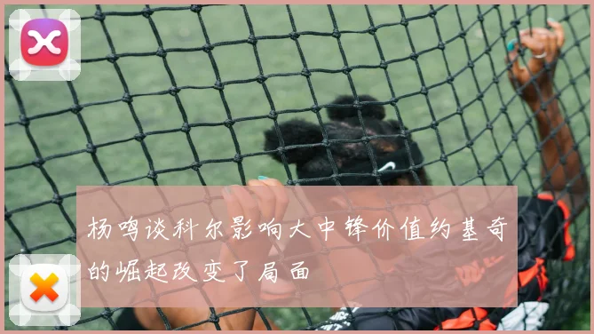 杨鸣谈科尔影响大中锋价值约基奇的崛起改变了局面