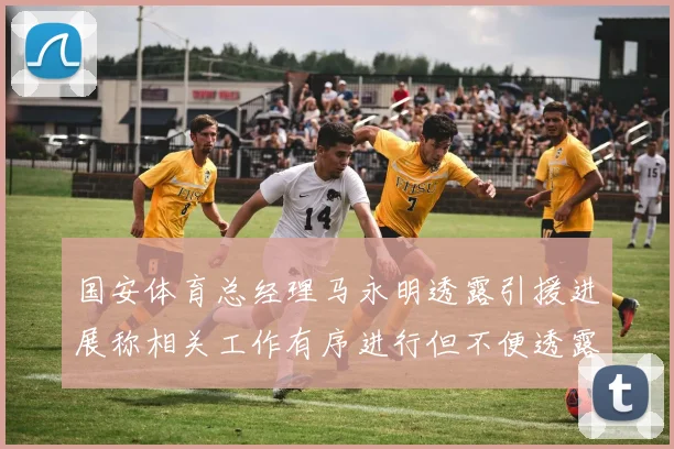 国安体育总经理马永明透露引援进展称相关工作有序进行但不便透露名字