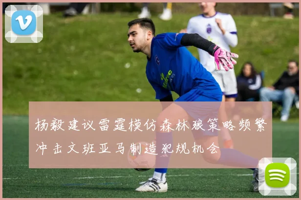 杨毅建议雷霆模仿森林狼策略频繁冲击文班亚马制造犯规机会